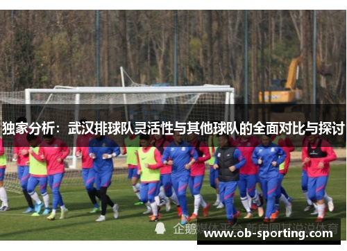 独家分析：武汉排球队灵活性与其他球队的全面对比与探讨